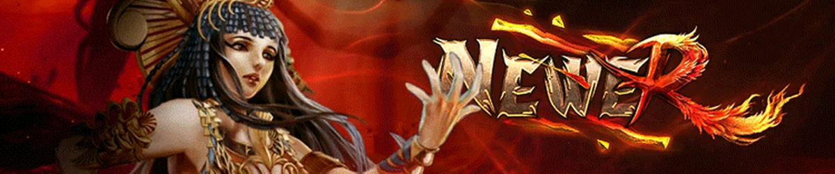 Newer-Reborn banner